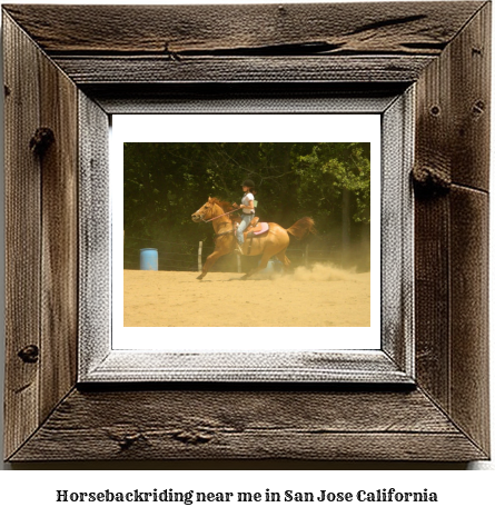 horseback riding near me in San Jose, California